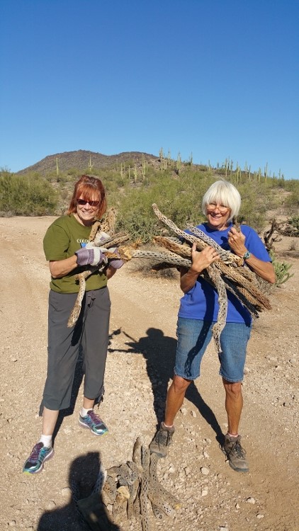 collecting treasures from the desert